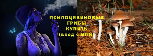 ГАЛЛЮЦИНОГЕННЫЕ ГРИБЫ Баксан