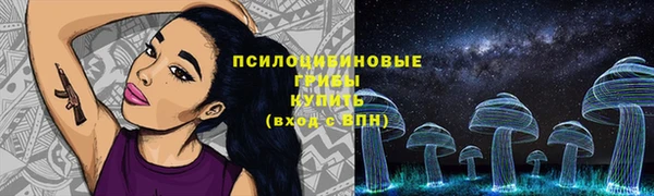 стафф Балахна