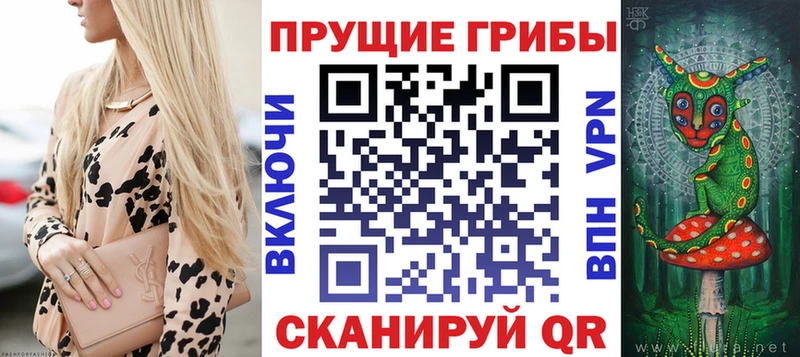Галлюциногенные грибы Cubensis  Новокубанск 